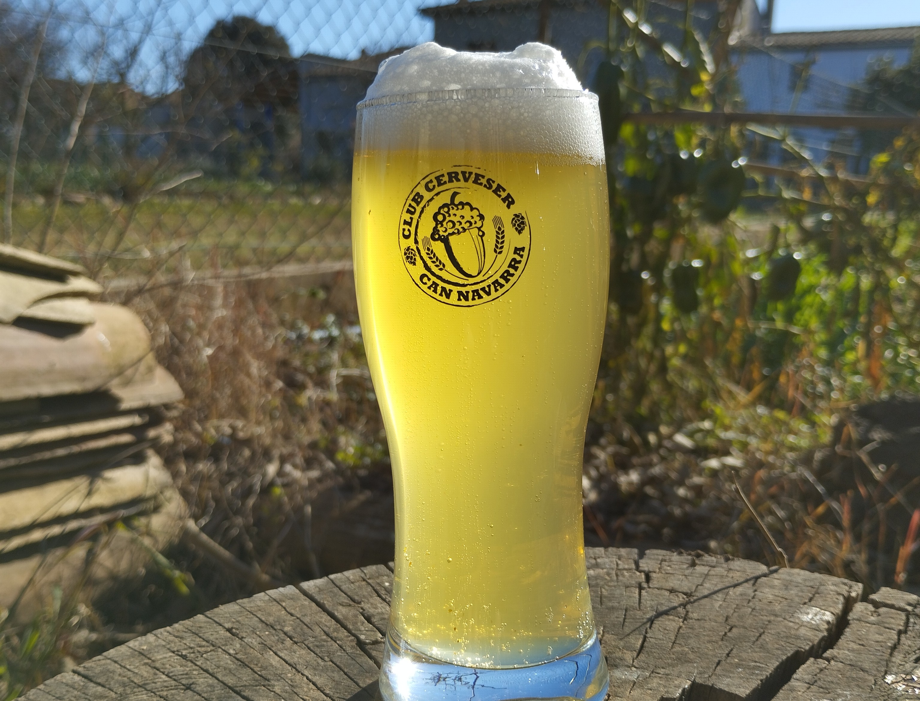 Hoppy pils